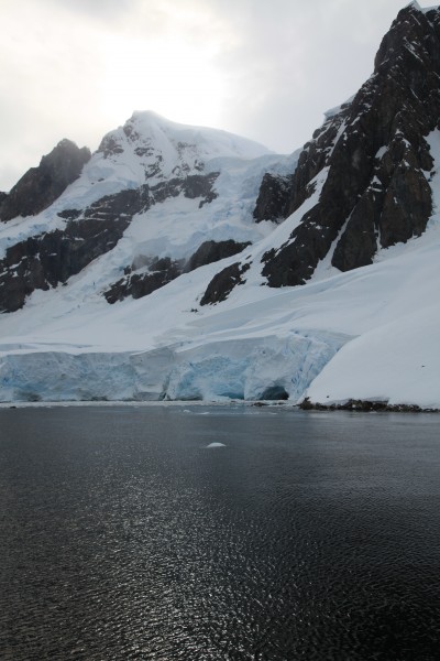 Lemaire Channel, Antarctica (6054240809)
