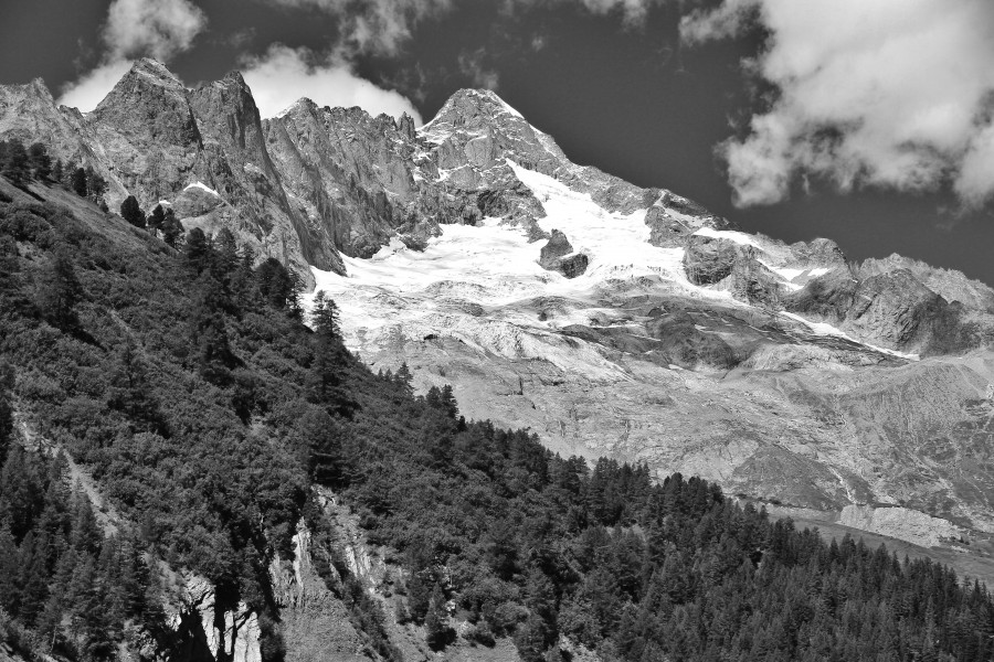 Mont Dolent from Ferret, 2010 August, bw