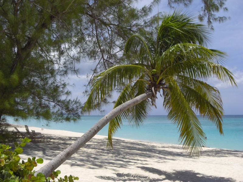 Playa de Gran Caimán-Islas Caimán03