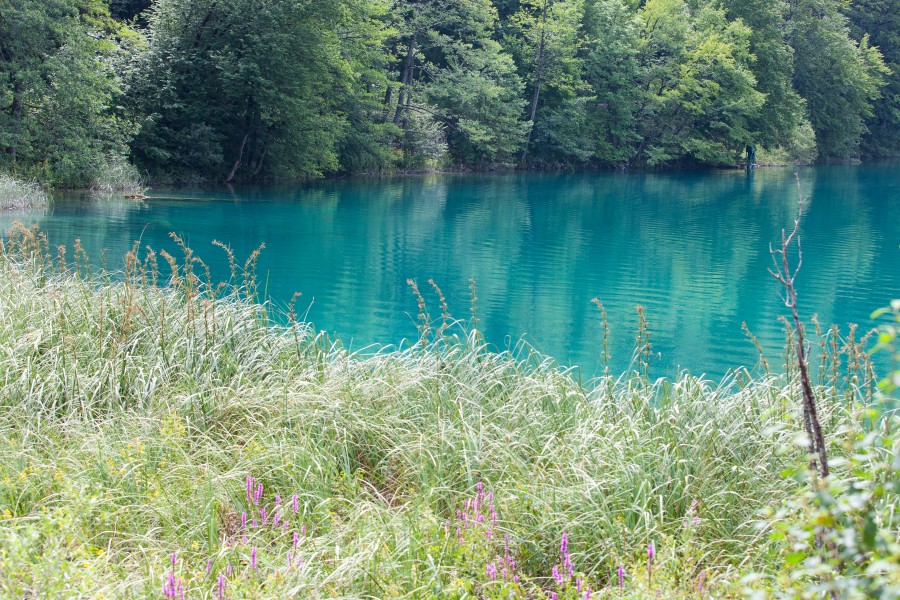 Plitvice Lakes, Croatia, July 2014, picture 8