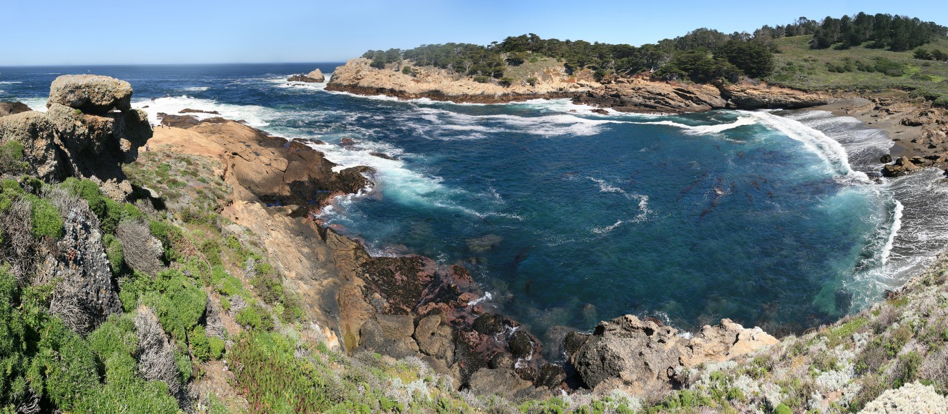 Point Lobos 17