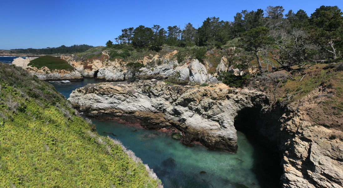 Point Lobos 1 at 04-07-2010