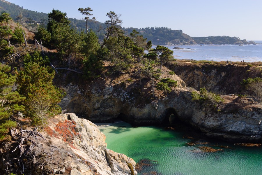 Point Lobos September 2012 013