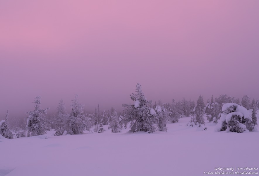 Riisitunturi, Finland, photographed in January 2020 by Serhiy Lvivsky, picture 7