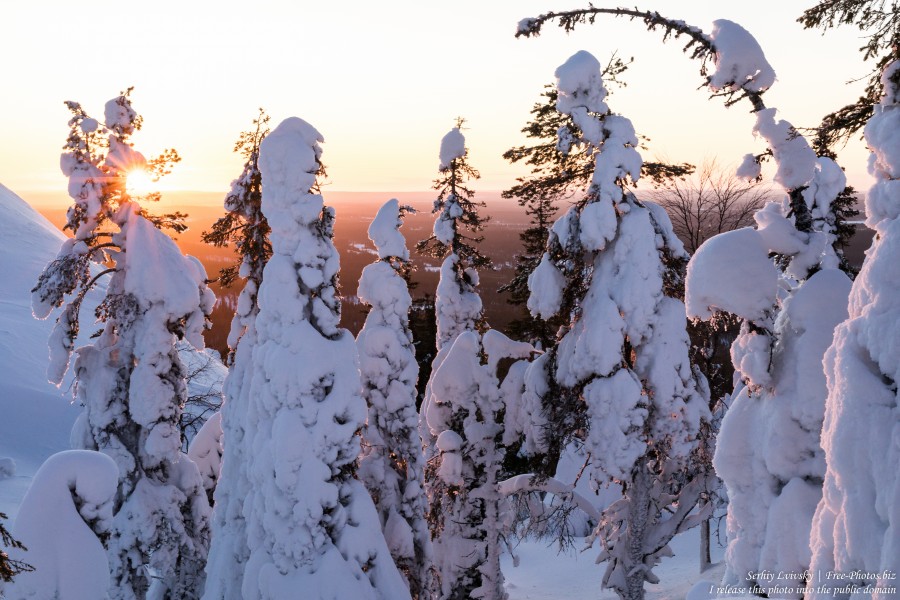 Ruka, Finland, photographed in January 2020 by Serhiy Lvivsky, picture 4