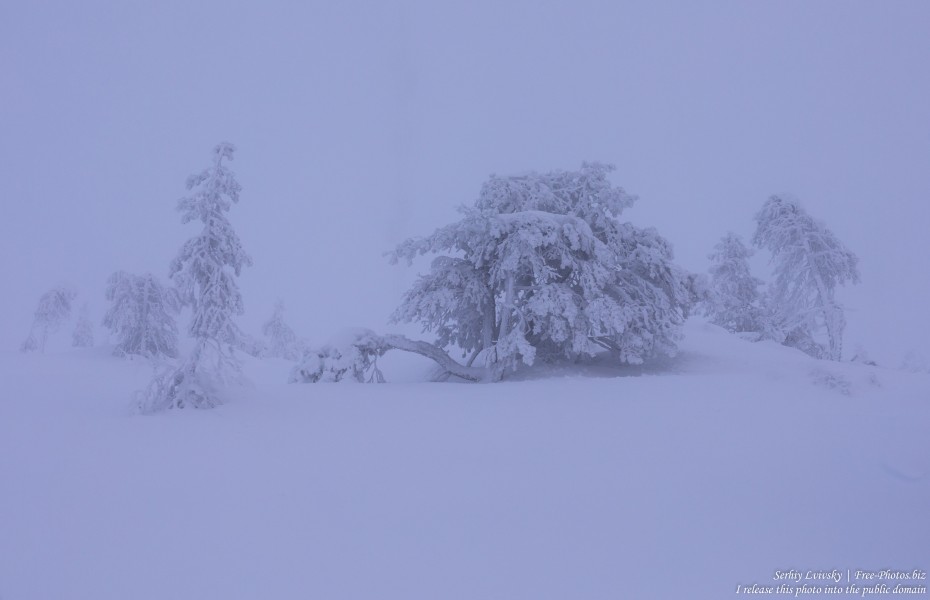 Sallatunturi, Finland, photographed in January 2020 by Serhiy Lvivsky, picture 10