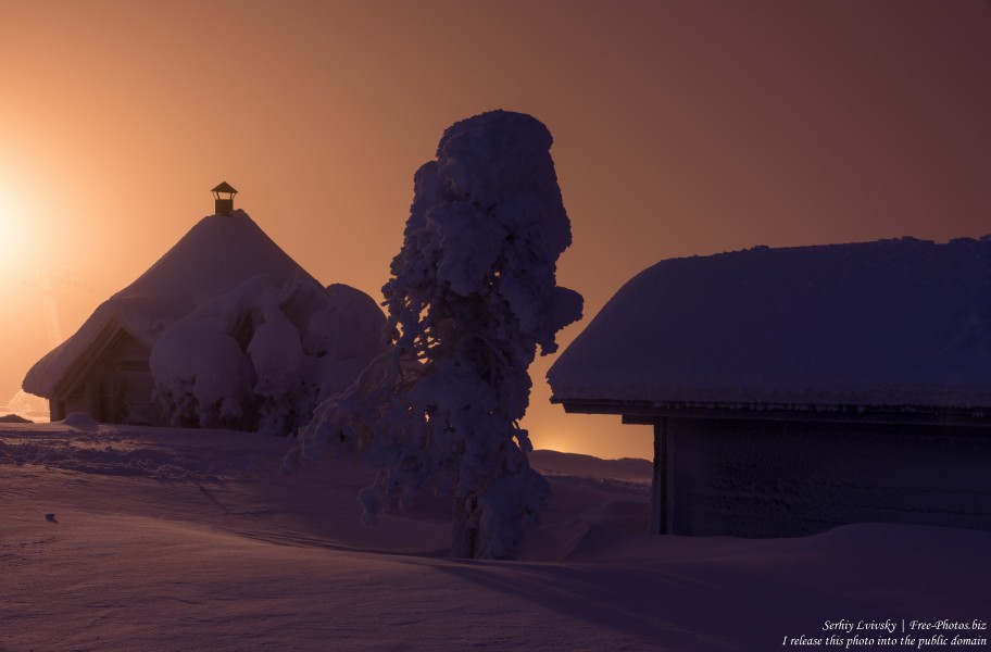 Sallatunturi, Finland, photographed in January 2020 by Serhiy Lvivsky, picture 17