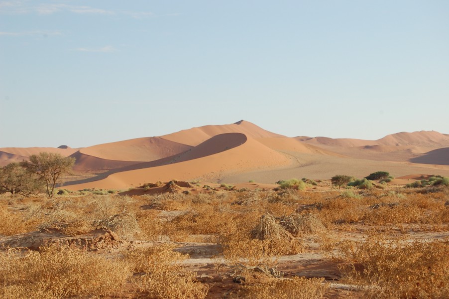Sossusvlei, Namibia (3137629783)