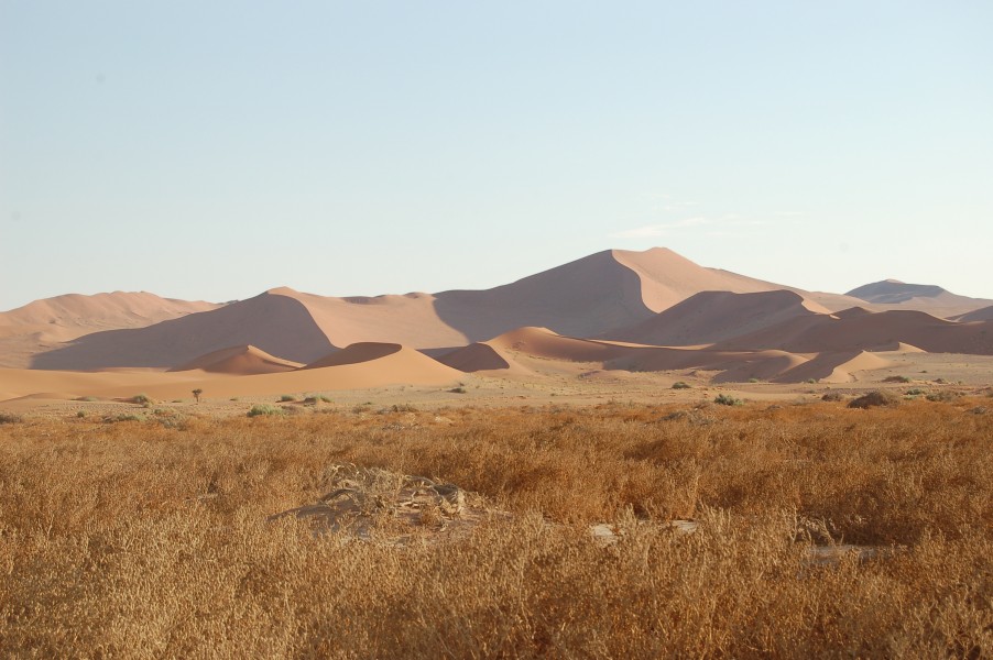 Sossusvlei, Namibia (3137633621)