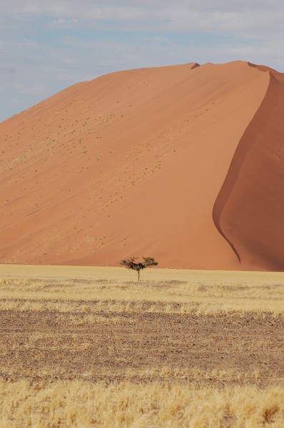 Sossusvlei, Namibia (3137669321)