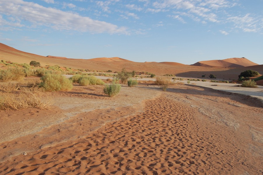 Sossusvlei, Namibia (3138450040)