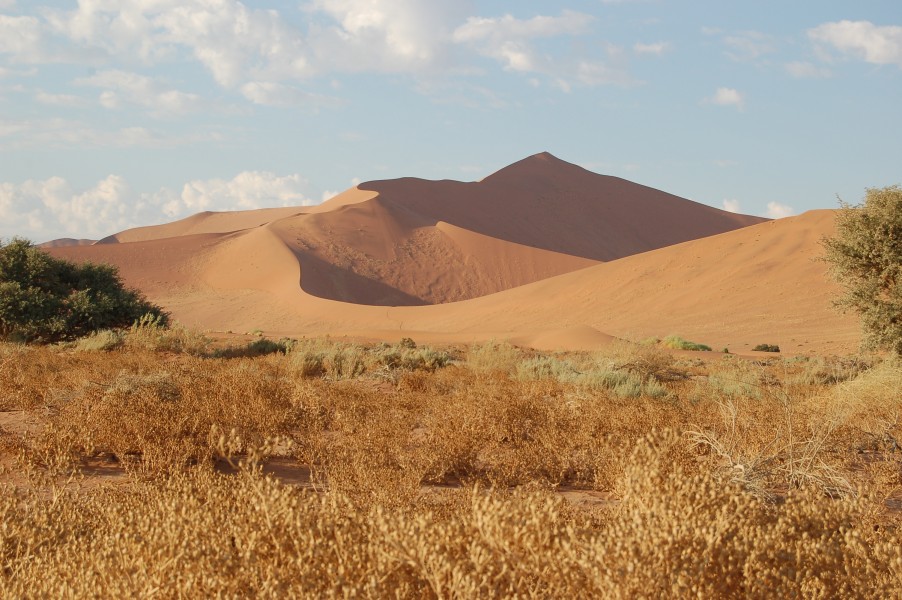 Sossusvlei, Namibia (3138457972)