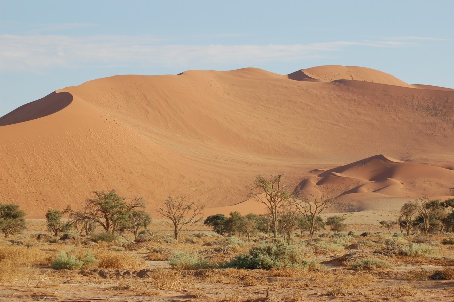 Sossusvlei, Namibia (3138470928)