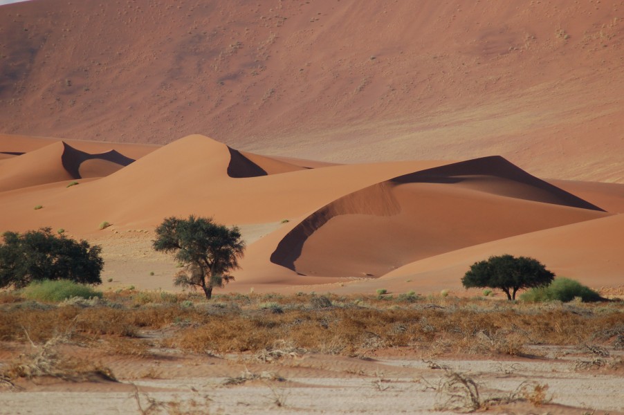 Sossusvlei, Namibia (3138481702)