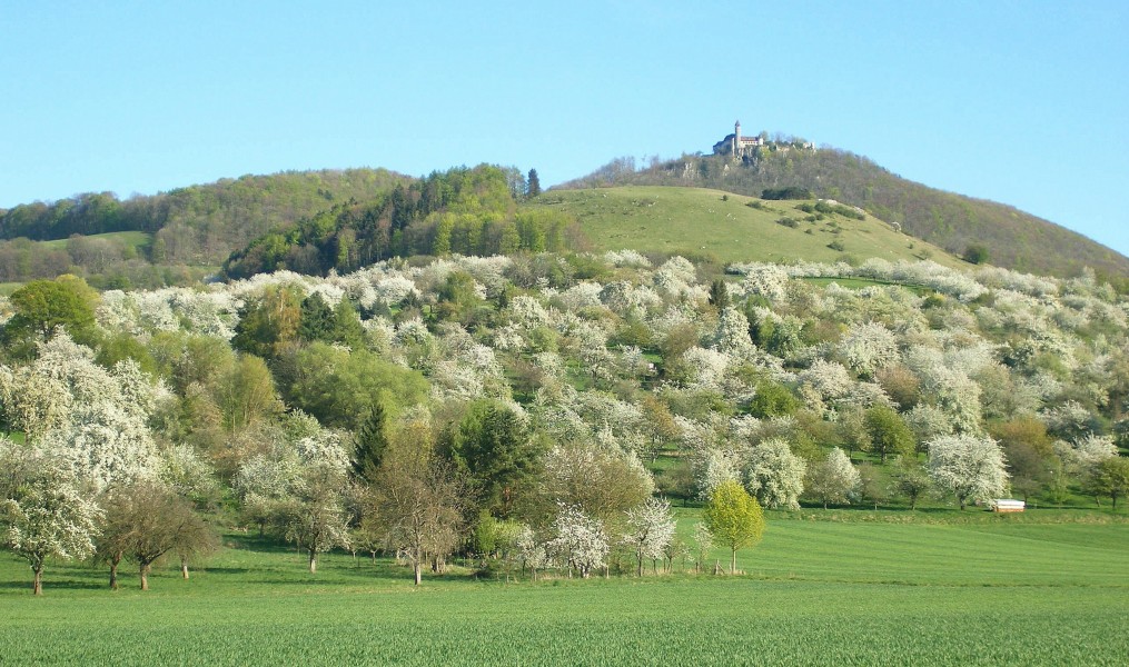 Streuobstwiesen unterhalb der Burg Teck