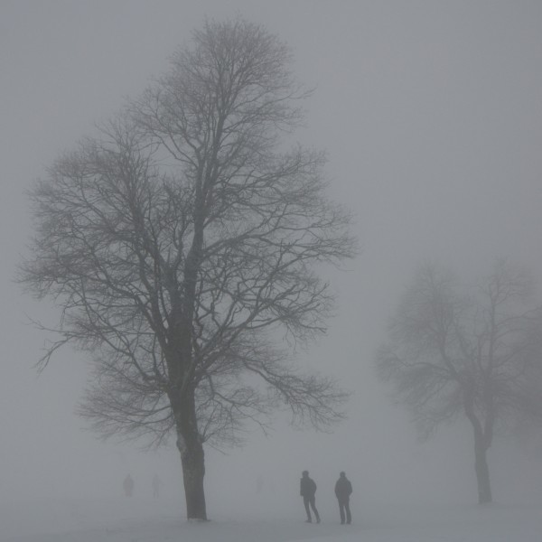 Two in the fog