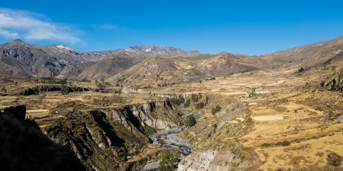 Valle del Colca, Perú, 2015-08-02, DD 64