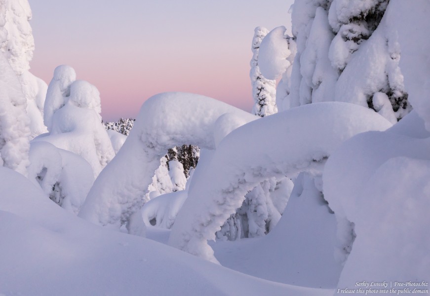 Valtavaara, Finland, photographed in January 2020 by Serhiy Lvivsky, picture 5