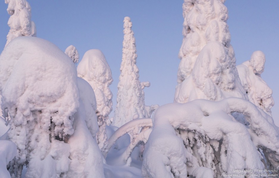 Valtavaara, Finland, photographed in January 2020 by Serhiy Lvivsky, picture 9