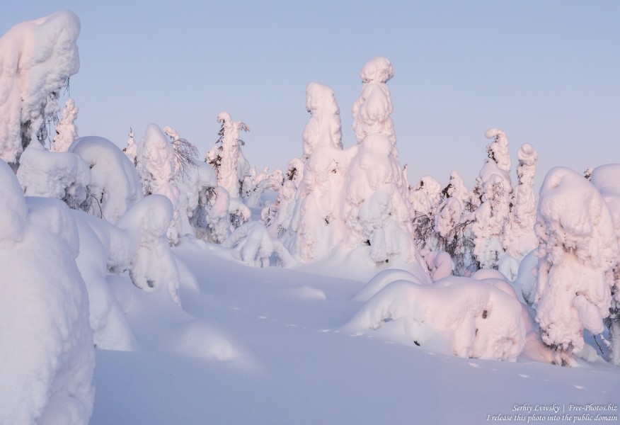 Valtavaara, Finland, photographed in January 2020 by Serhiy Lvivsky, picture 10