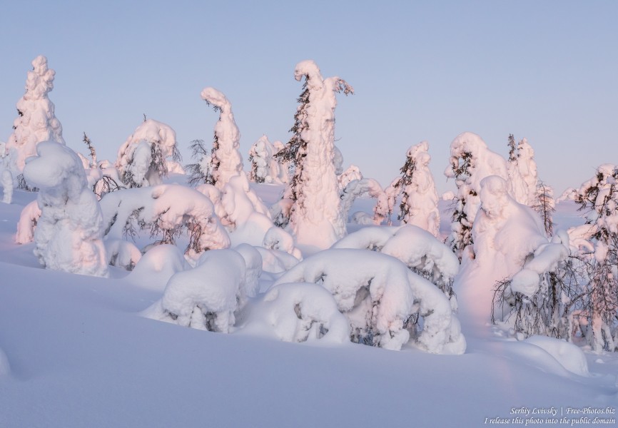Valtavaara, Finland, photographed in January 2020 by Serhiy Lvivsky, picture 12