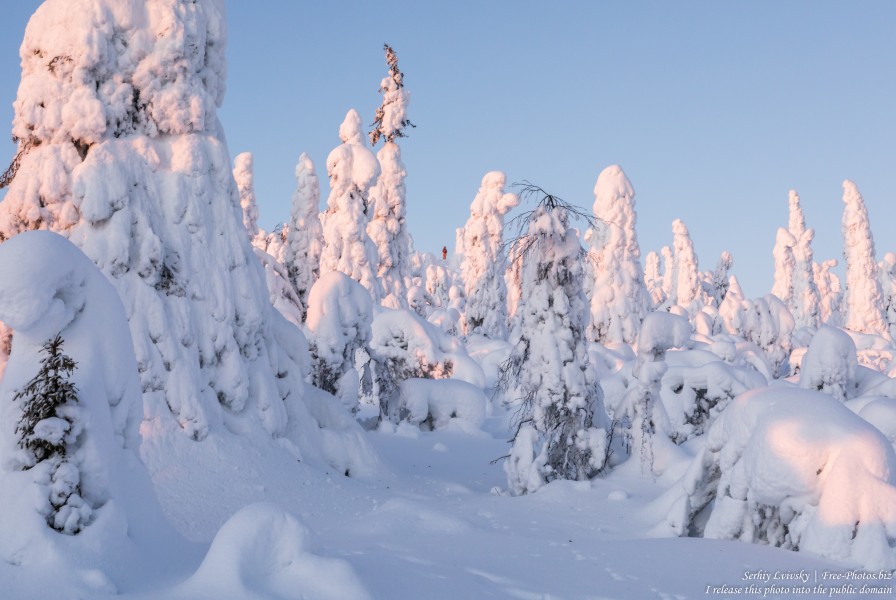Valtavaara, Finland, photographed in January 2020 by Serhiy Lvivsky, picture 17