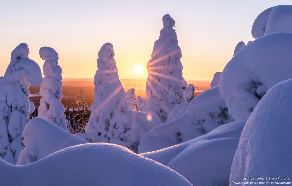 Valtavaara, Finland, photographed in January 2020 by Serhiy Lvivsky, picture 22