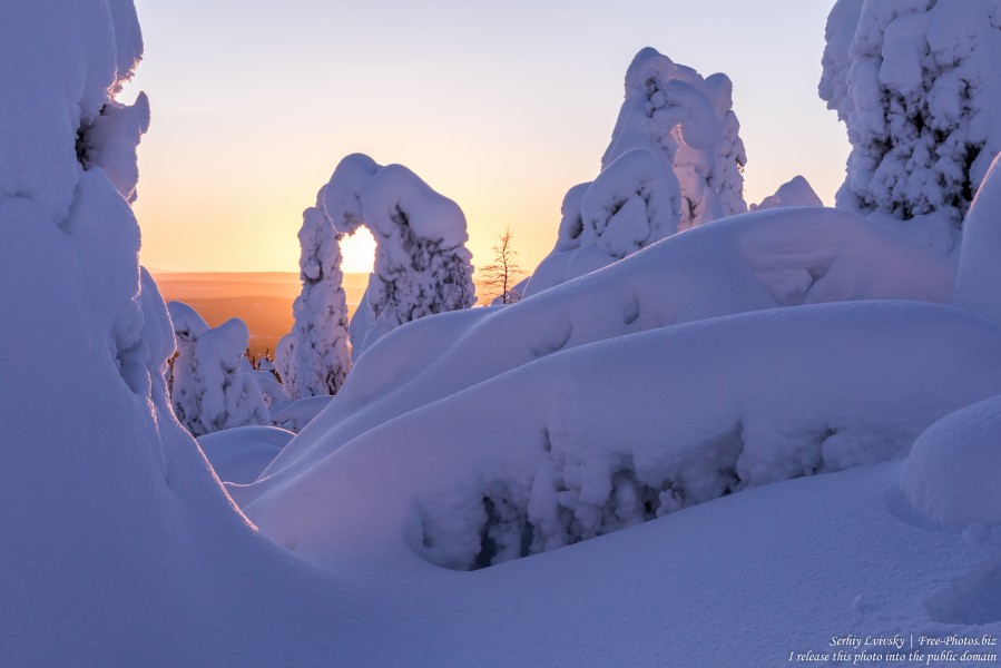 Valtavaara, Finland, photographed in January 2020 by Serhiy Lvivsky, picture 27