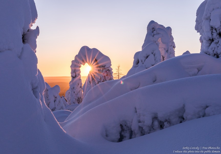 Valtavaara, Finland, photographed in January 2020 by Serhiy Lvivsky, picture 28