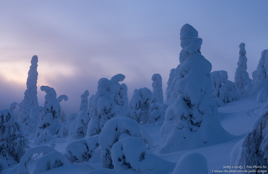 Valtavaara, Finland, photographed in January 2020 by Serhiy Lvivsky, picture 52