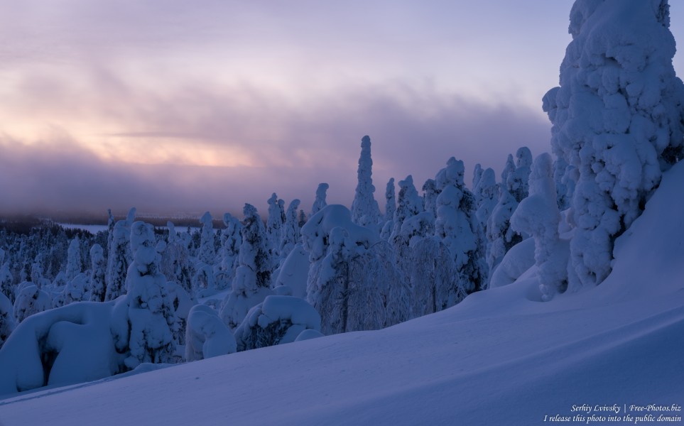 Valtavaara, Finland, photographed in January 2020 by Serhiy Lvivsky, picture 56