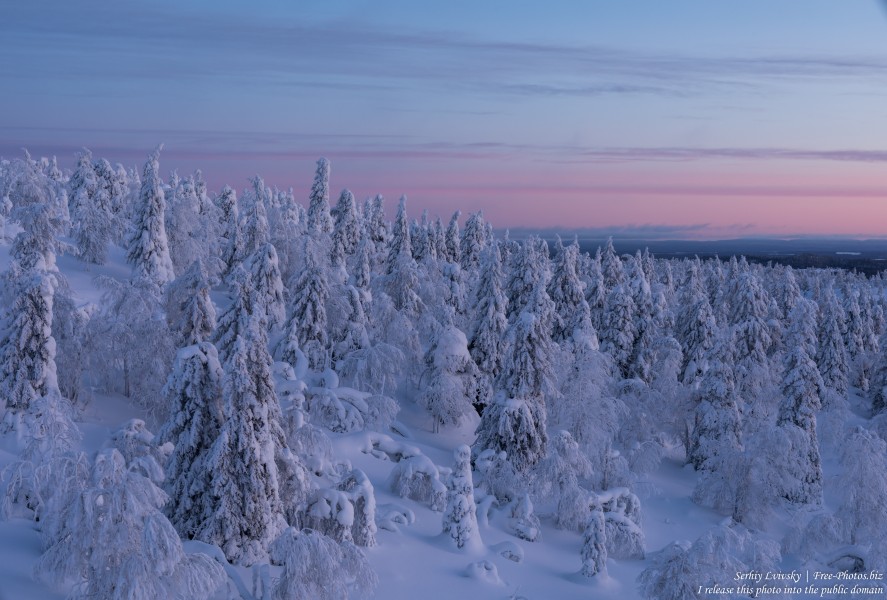 Valtavaara, Finland, photographed in January 2020 by Serhiy Lvivsky, picture 57