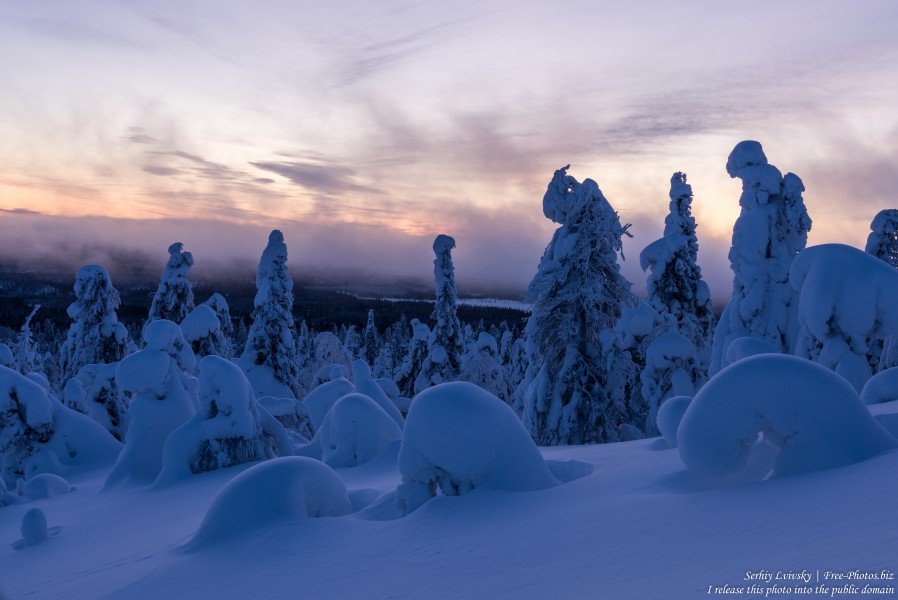Valtavaara, Finland, photographed in January 2020 by Serhiy Lvivsky, picture 58