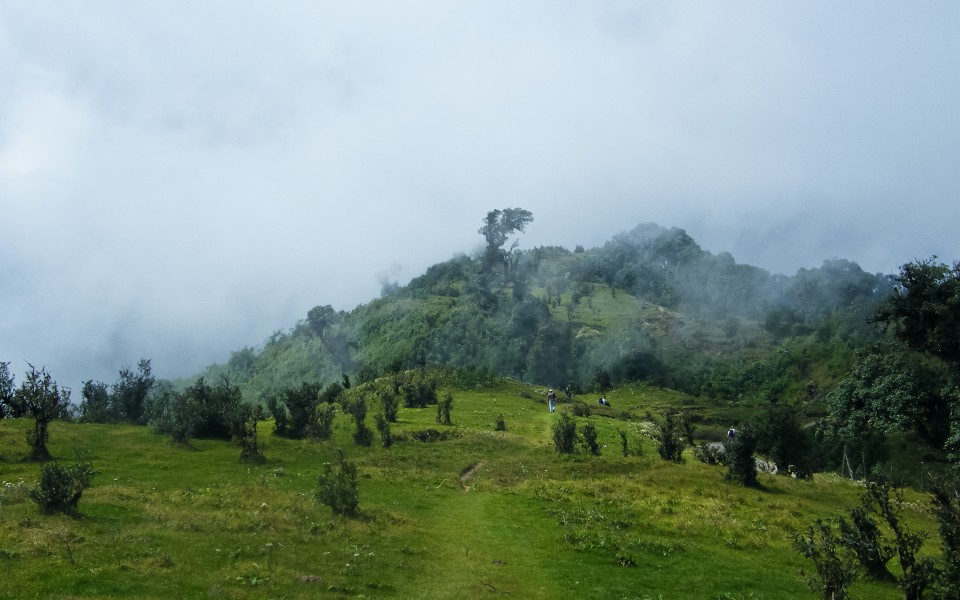 Vast green meadows and hills in Singalila National Park