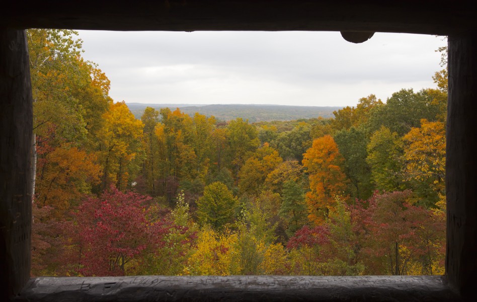 Vista desde la torre de observación, Parque Estatal Brown County, Indiana, Estados Unidos, 2012-10-14, DD 01