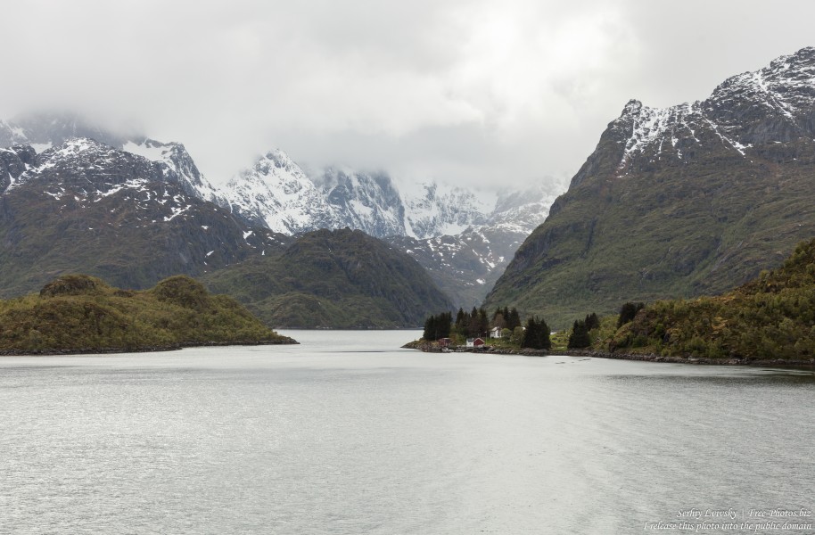 way from Stokmarknes to Trollfjord, Norway, photographed in June 2018 by Serhiy Lvivsky, picture 15
