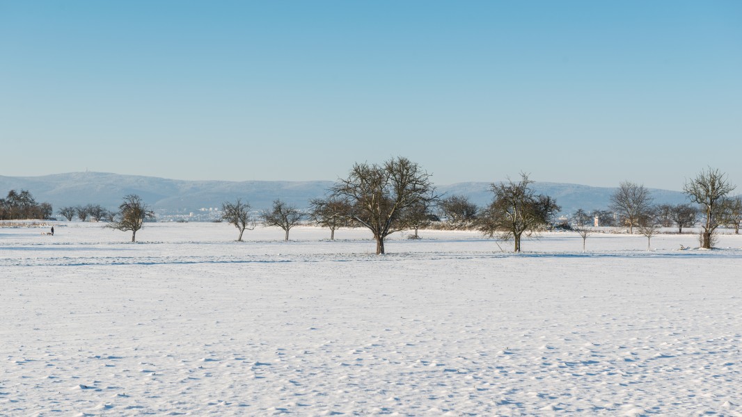 Winter landscape near Frankfurt am Main, looking towards northwest 141228 4