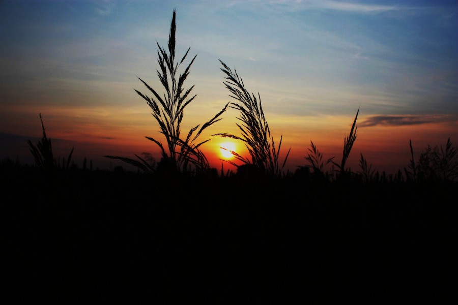 Zachód słońca. - panoramio (6)
