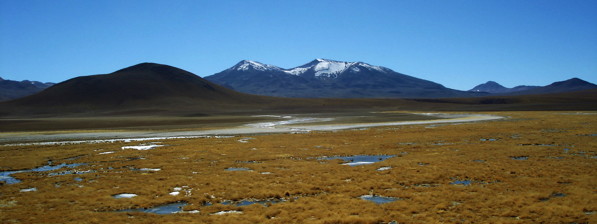 Romanceor Altiplano 2