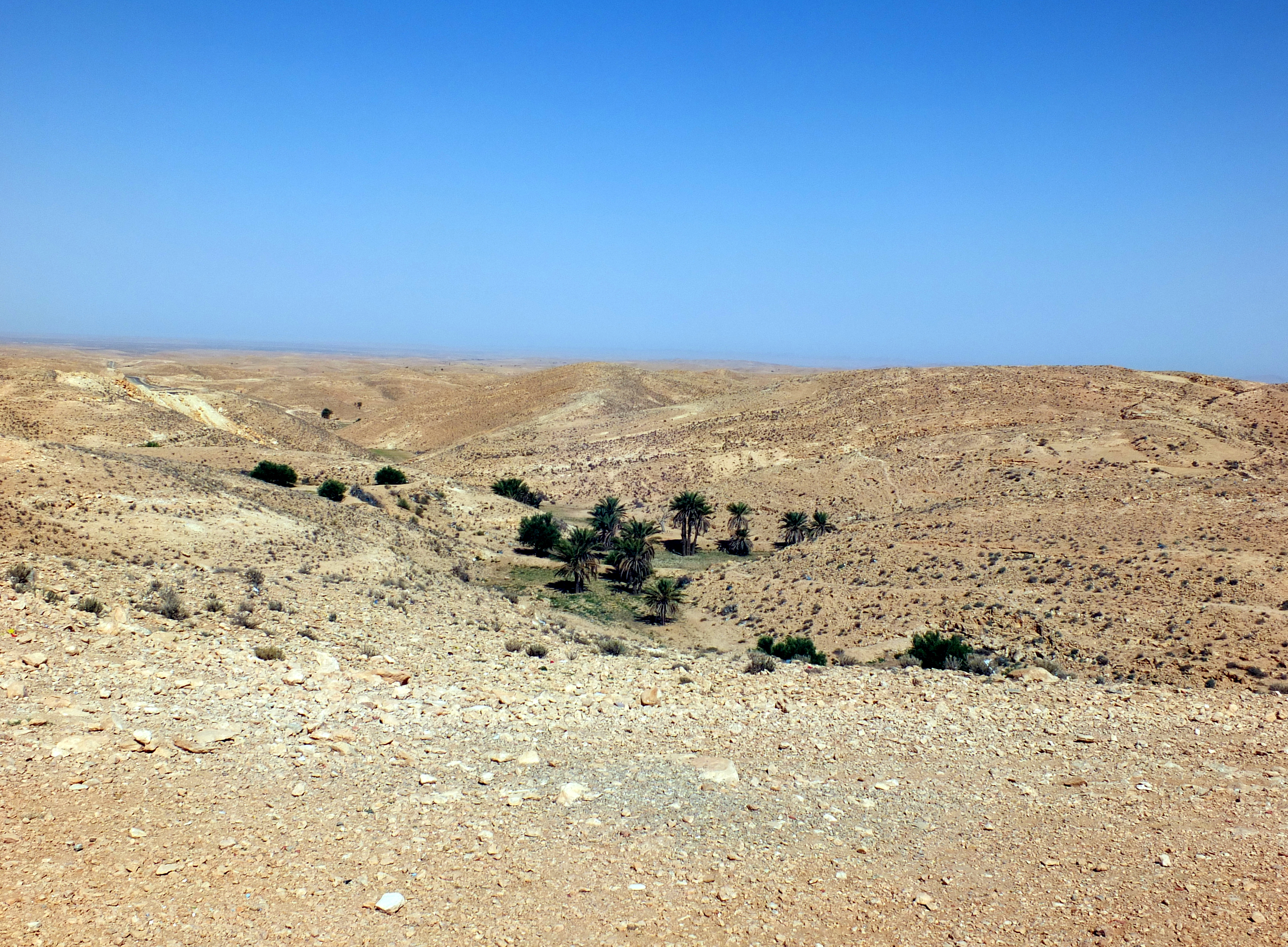 Sahara along C104 06