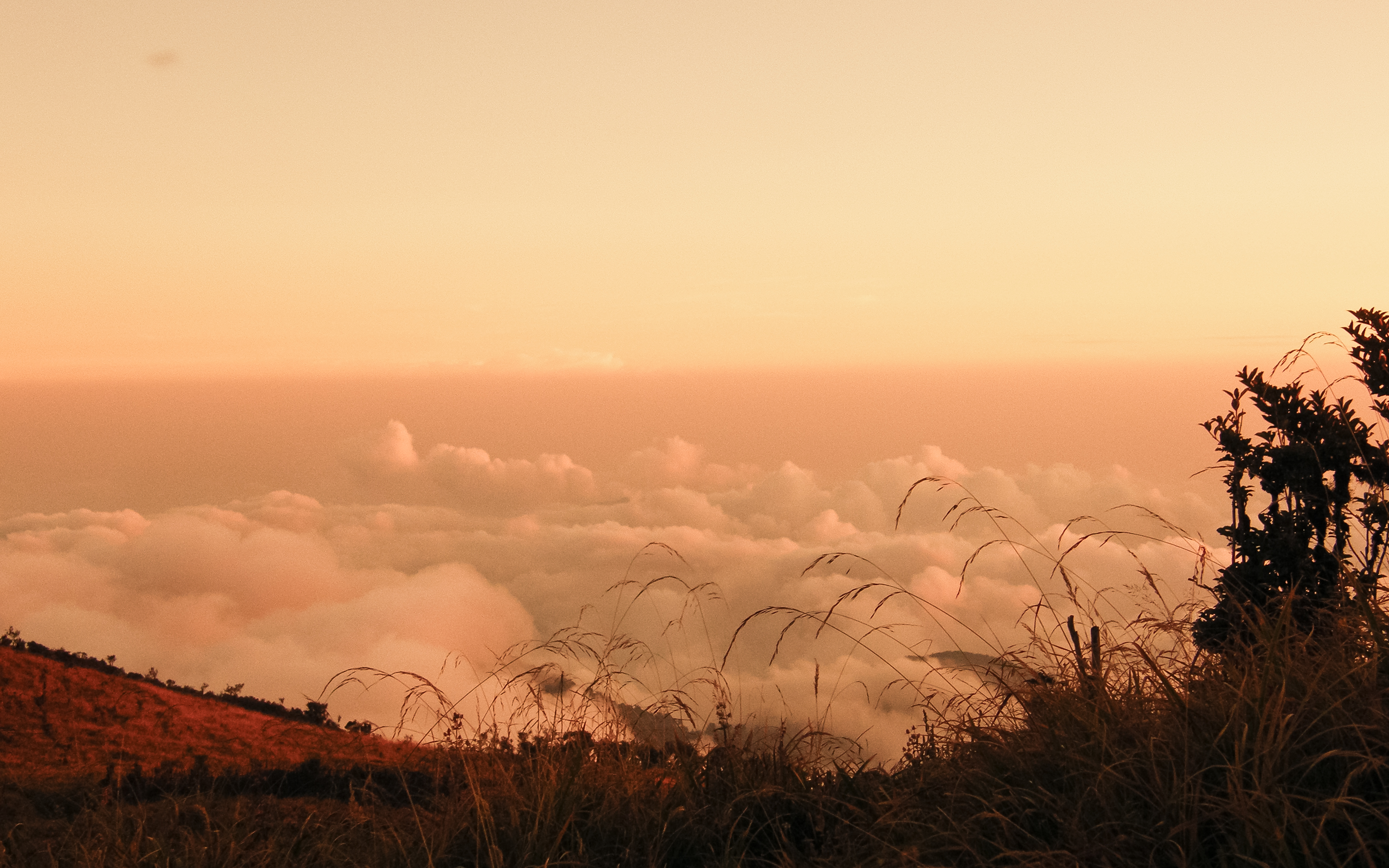 Sea of clouds - Singalila National Park