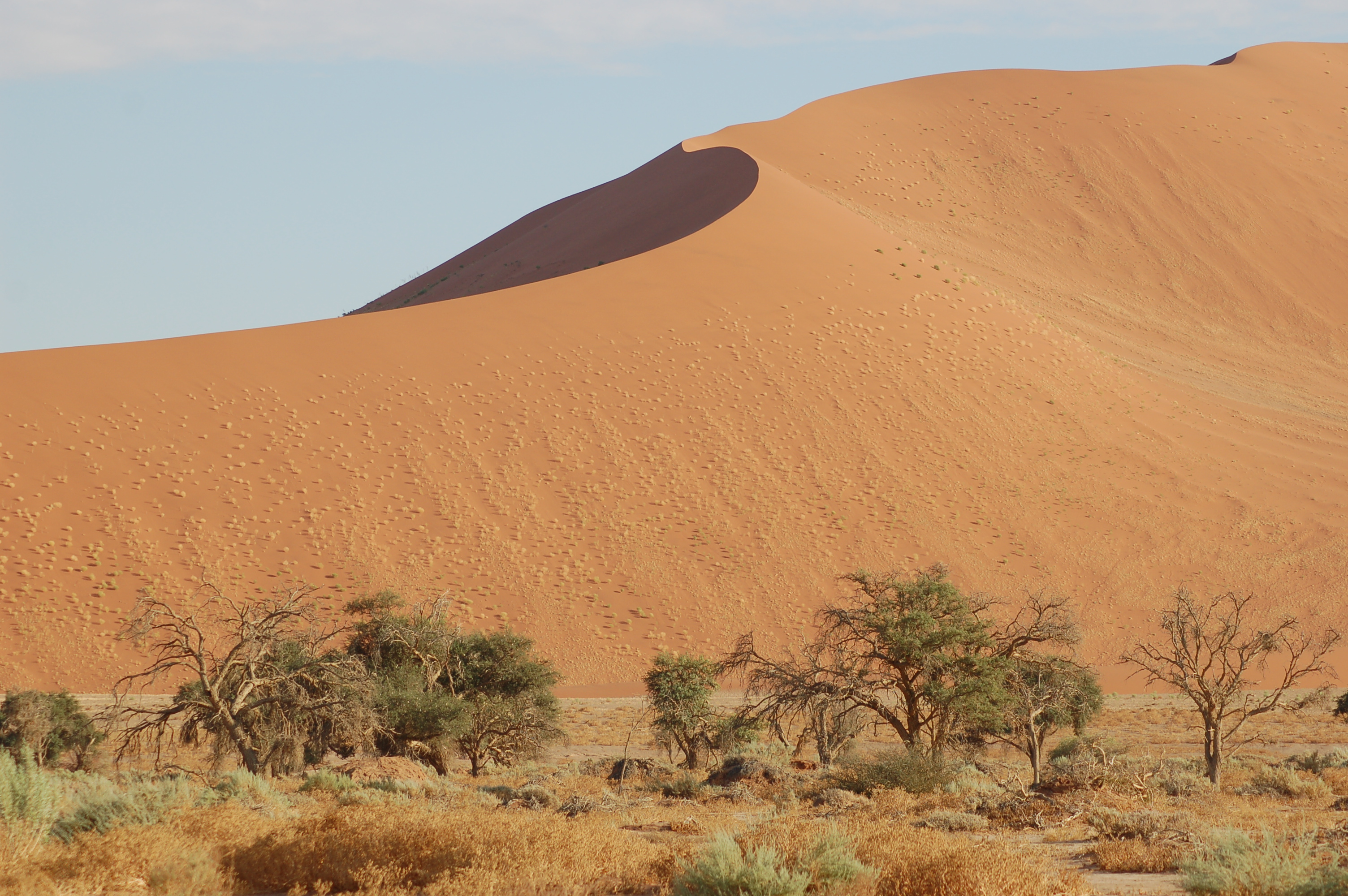 Sossusvlei, Namibia (3137645251)