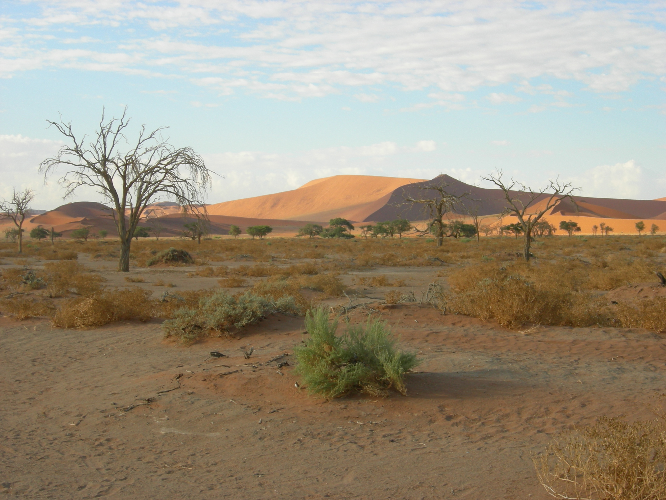 Sossusvlei, Namibia (3137686413)