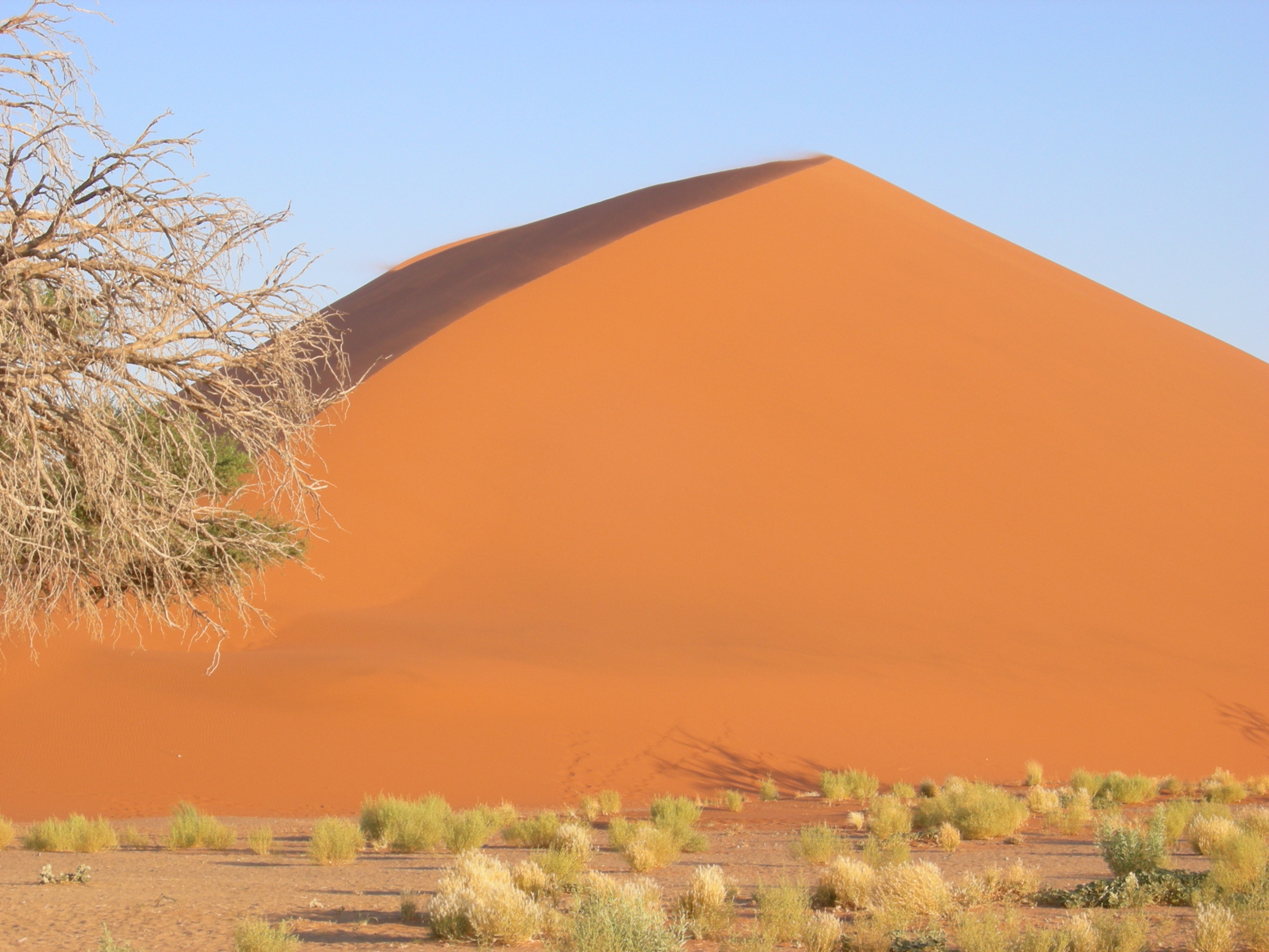 Sossusvlei, Namibia (3138537054)