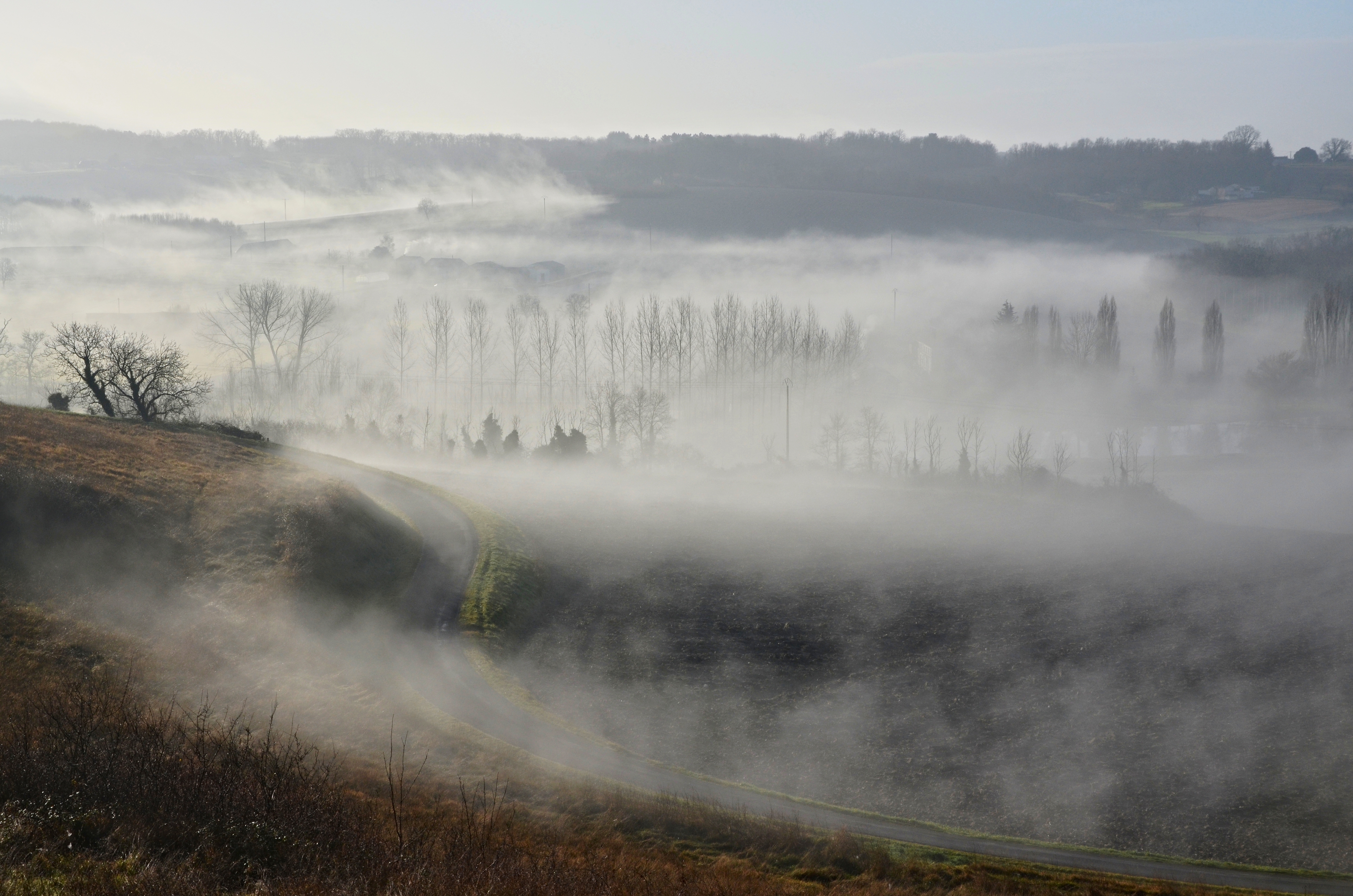 St-Amant-de-Montmoreau 16 Paysage-depuis-D24 brouillard 2014