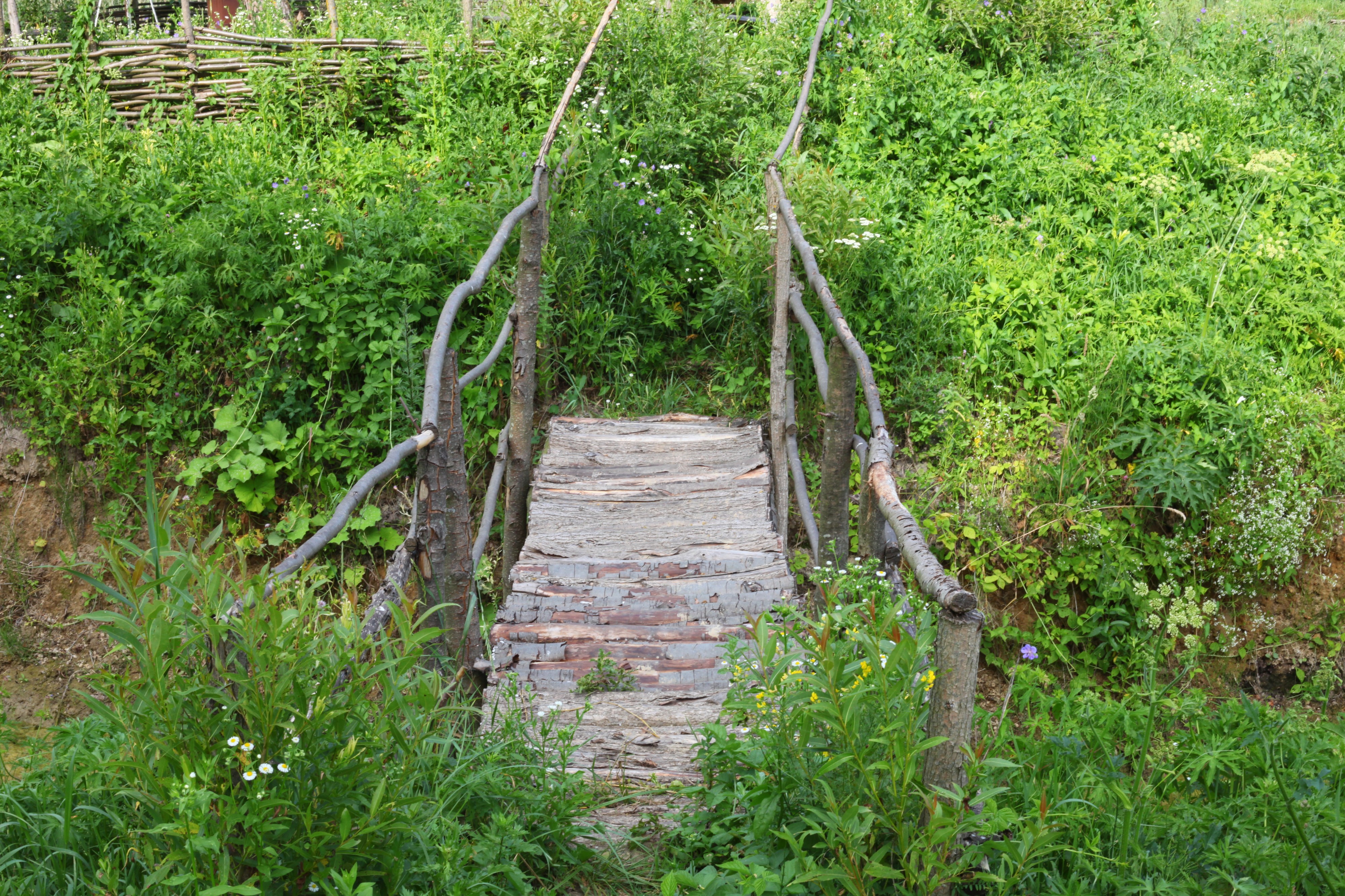 a small wooden bridge, Lviv region, Ukraine