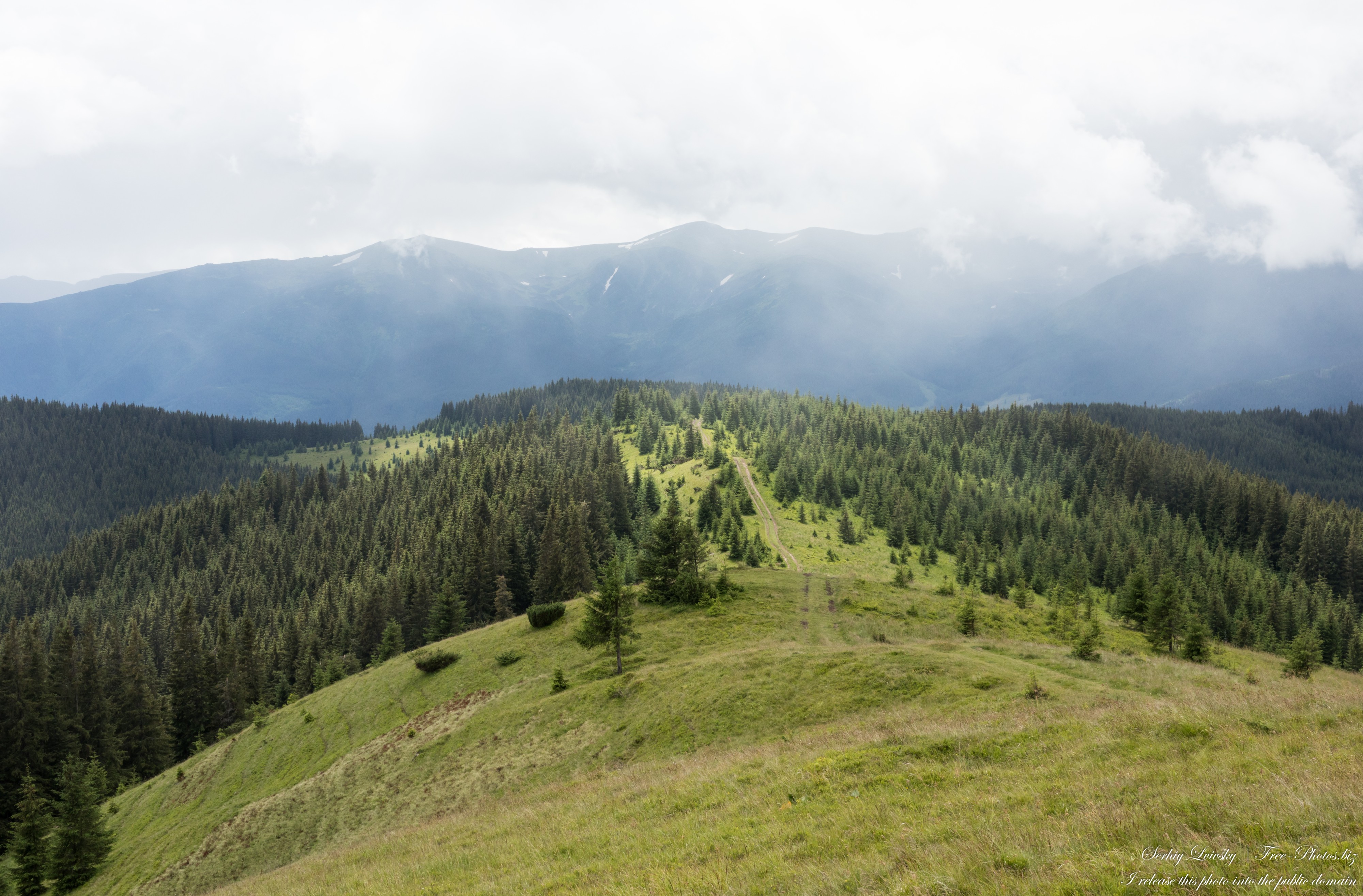 Carpathian mountains in Ukraine photographed in July 2022 by Serhiy Lvivsky, picture 20