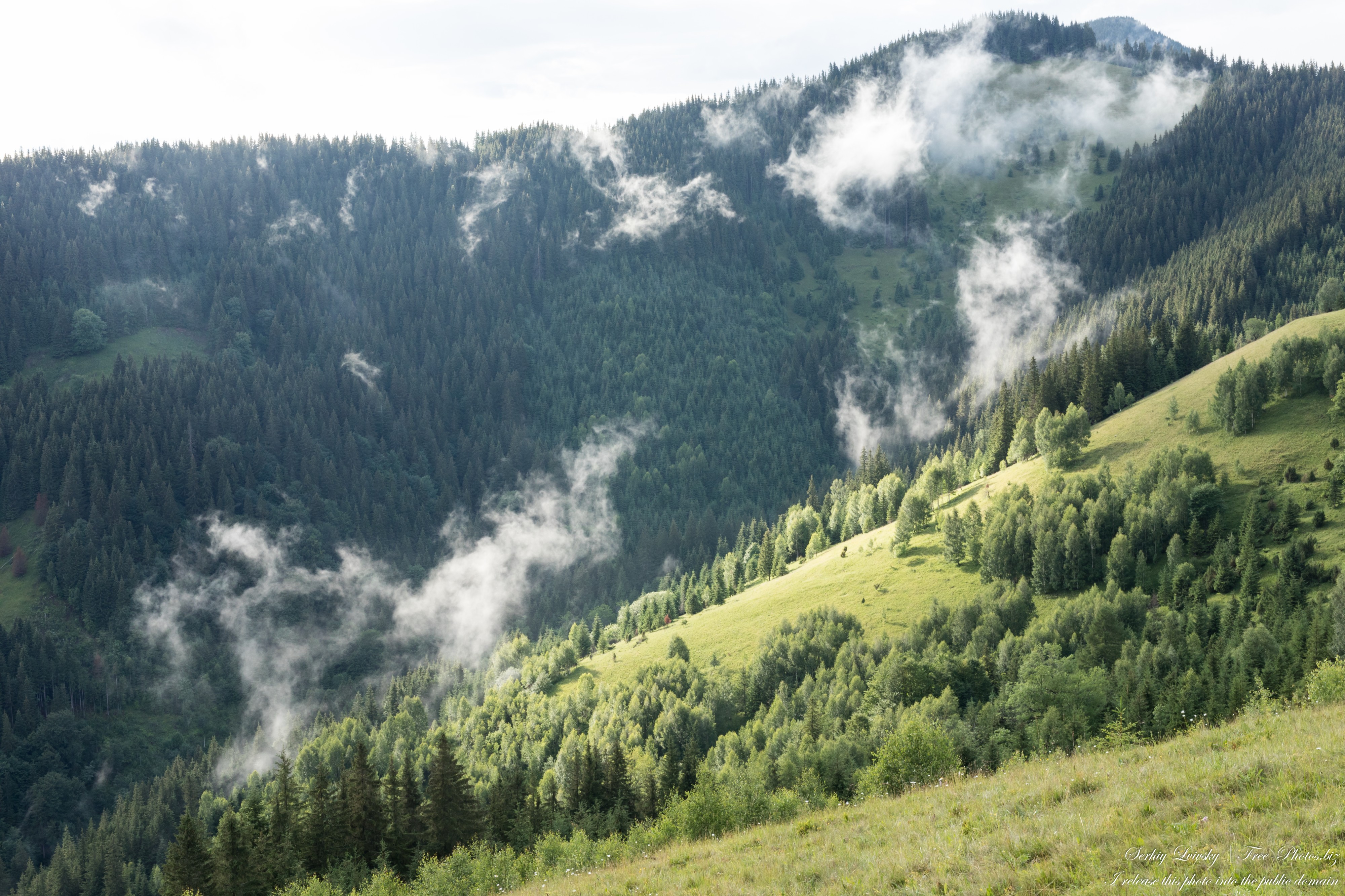 Carpathian mountains in Ukraine photographed in July 2022 by Serhiy Lvivsky, picture 30
