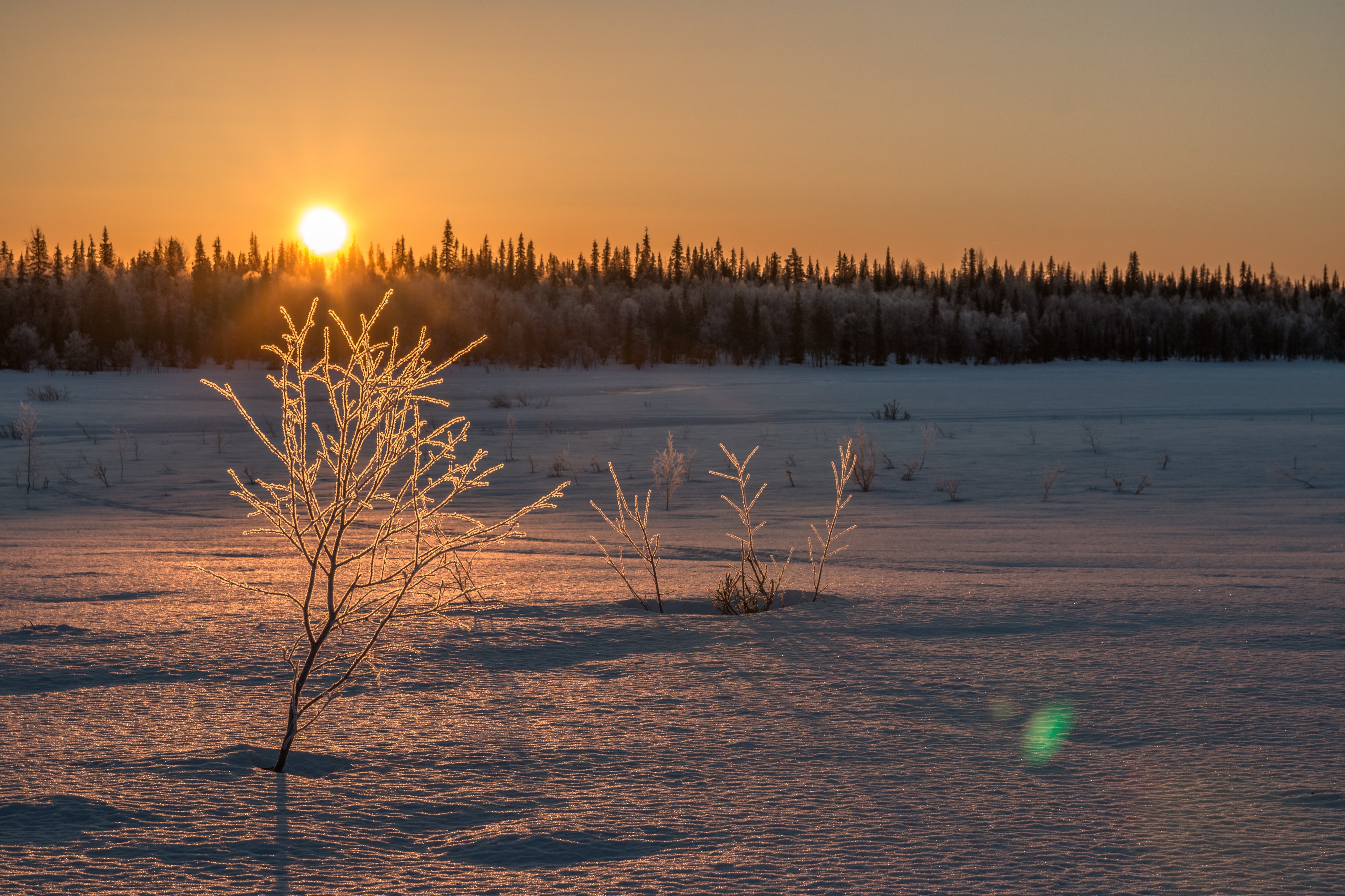 Frozen Lapland (26005257262)