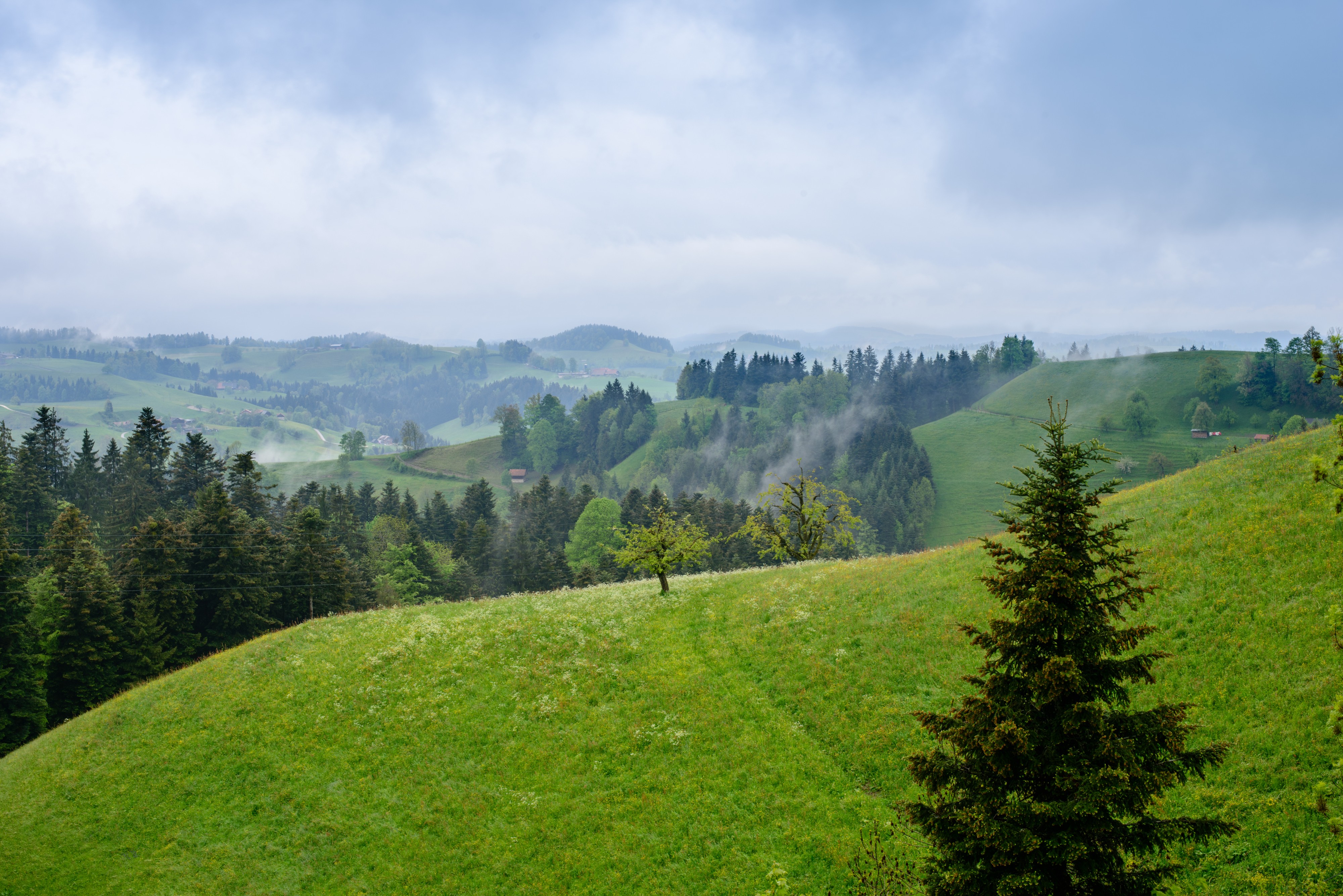 Landscape at Hergiswil near Willisau - Lucerne - Switzerland - 04